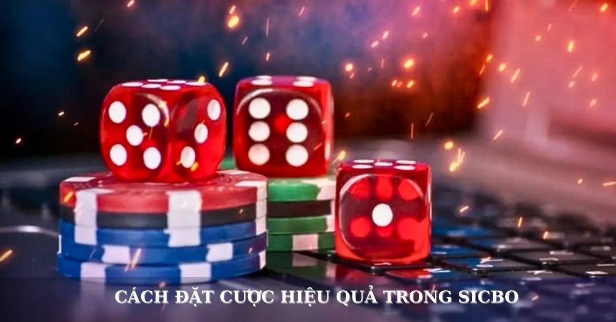 Tìm hiểu luật chơi Sicbo (Tài Xỉu) và cách đặt cược hiệu quả